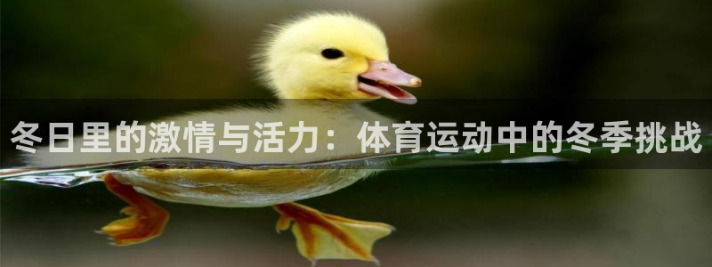 zoty中欧体育平台