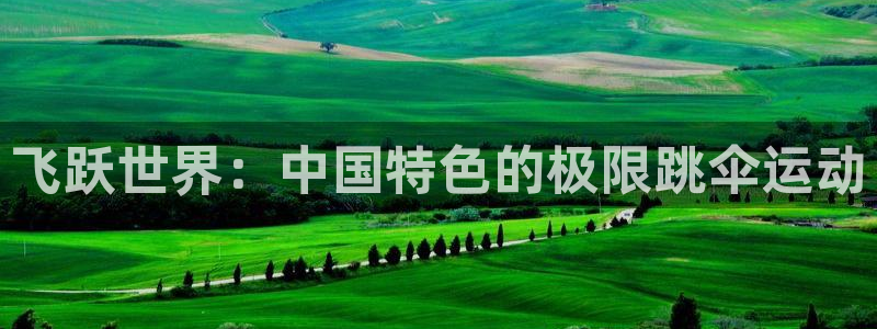 中欧体育网站