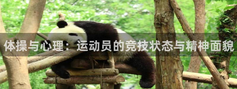 中欧体育网站