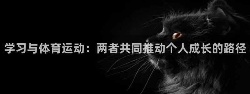 中欧体育网站