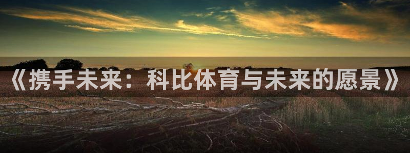 中欧体育kok官网首页