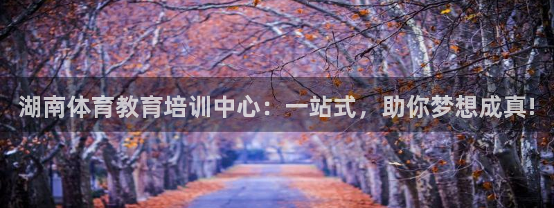 kok中欧体育登录