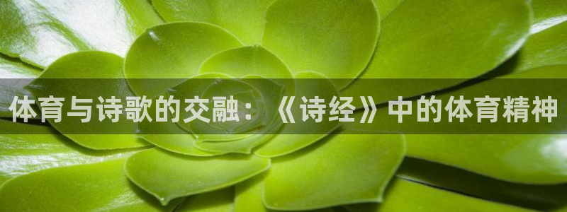 中欧体育kok官网首页