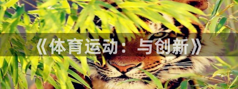 中欧体育ac米兰