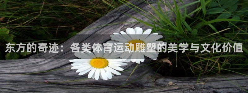 zoty中欧体育